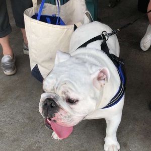 Meet your Posher, Emily